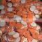 High Performance Polishing Pads Kit with Spomge Foam