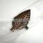 Iron Metal Tree Leaf Design Antique Finish Napkin Ring Holder For Tableware