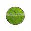 Manufacturer Supply Organic Barley Grass Juice Powder