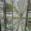 40 HQ commercial hydroponic systems Container Farm fodder growing system