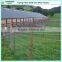 2mm high tensile wire field fencing with best price  express