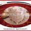 brown aluminum universal Dome brand cutting wheel