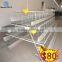 egg production project poultry farming equipment A type layer chicken cage for sale