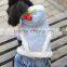 pet clothes dog