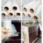 PE stretch wrap film plastic film machine