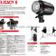 Outdoor Flash Kit 1200W High Power Dual Lamp Professional Outdoor Photo Photography Lights Exterior Lights