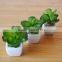 mini artificial succulent plants for home decorating