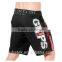 Grips Legionario Fight Shorts