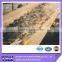 good sale 120degree high temperature heat resistant conveyor belt