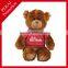 ICTI Audited factory plush teddy bear
