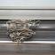 tiger blinds roller shutter motor
