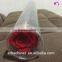 natural preserved roses with stems