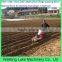 Chinese Cheap Corn Cultivator Ridging Machine