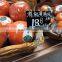 promotional sign holder pop clip for supermarket
