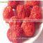 Natural freeze dried strawberry crisps/Palarich snacks