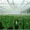 AceFog Greenhouse Cultivation Misting Cooling Machine
