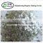 Silver white pearlescent mica Pigment widely used in building materials industries