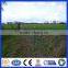 Low Price Good Quality Good Service Studded T Picket Post For Farm