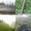Irrigation micro spray tape/Micro spray hose for garden and farm