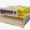 TD-48 full automatic mini incubator for parrot