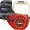 Agriculture 163cc Gasoline Engine