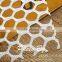 HDPE UV Stabilized Plastic Mesh Fencing/Agriculture Mesh