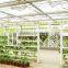 hydroponic used for styrofoam greenhouse