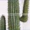 SJ3001017 Landscaping decorative shaped cactos artificial plastic cactus plants