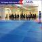 Karate Federation Special Eva Taekwondo Mat 2.5cm 3cm 4cm Gym Mats