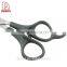 Professional PP Handle Hair Cutting Scissors Hair Scissors
