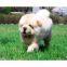 test image upload