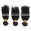 2017 hot sale wholesale kinky curly indian hair human hair weave