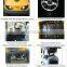 USA market mini custom electric golf buggy