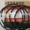 Engine Parts Piston Ring 5365884