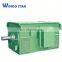 High Voltage 6kv y Series Three Phase Electric Ac Motor 130kw