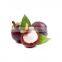 Free Sample 100% Natural Mangosteen Powder Fruit Powder