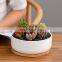 Best Selling Humanoid Succulent Giant White Planter Plant Indoor Drawing Big 1 Pot Ceramic