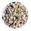 pistachio kernels China high quality cheap price