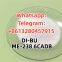10 years factory direct Supply CAS:51-34-3 Scopolamine DCK LSD