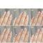 GS Porcelain Cat Eye Gel