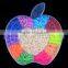 Plastic apple diy pyssla beads box kit