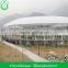 Low Commercial Greenhouse Cost
