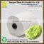hot new products for Cangnan Ne2s/8 recycled cotton mop yarn