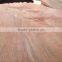 Grade A/B 0.28mm natural wood plb face veneer