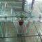 10mm wholesale tempered glass cutting boards table price