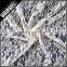 Peony white in stock vogue fabric for wedding clothing nylon spool net fashion textronic fabric