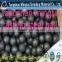 Top Rank for Cement Grinding Mill Steel Balls