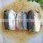 Mexico canned mackerel fish