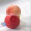 Dongguan silicone products mini convenient bento kids lunch box