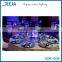 Party Crazy Hour Supplier Party Led/Led Nightclub Light Base